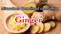 Benefits of Consuming Ginger Everyday