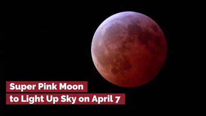 Check Out The Super Pink Moon