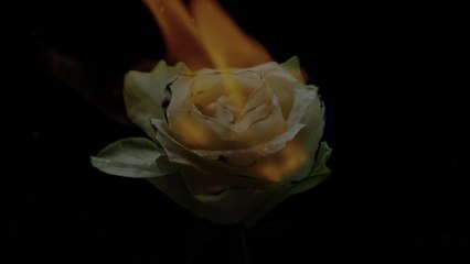 Florian Picasso - Like You Do