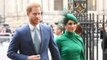 Prince Harry, Meghan Markle Set to Launch New Charitable Foundation Archewell | THR News