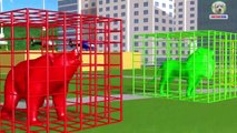 Kids Toy Videos US - Aprender colores animales con helicóptero y jaula de dibujos animados