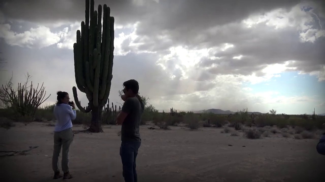 EL PERIMETRO DE MÉXICO  primera temporada  trailer