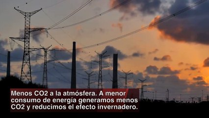 Es importante reciclar