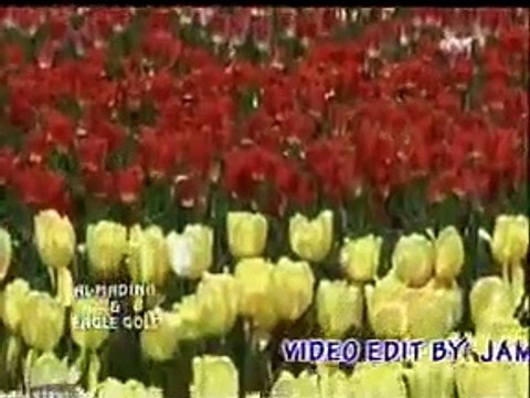 Meri Jholi Ko Bharde Ae Khuda Sadqe Muhammad K, Naat Sharif by Imran Sheikh Attari