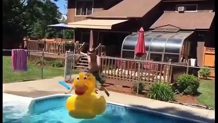 Videos graciosos (cortos) @3 2020