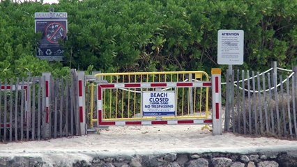 Trump amenaza con suspender la contribución de EEUU a la OMS