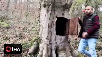 Evde kalmıyor, koronavirüse meydan okuyor!