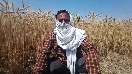 इटावा: लॉकडाउन को लेकर किसानों ने बताई अपनी परेशानी