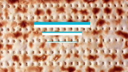 Hppay Passover 2020 | Seed Processing, Packing, Storage | Jam Jam Group