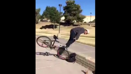 Top Videos de Que Podría Salir Mal?