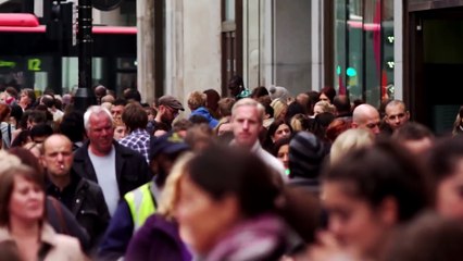 La consciencia de los animales - Viernes de Morsa