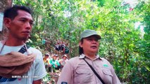 Harmoni Alam dan Manusia di Desa Air Tenam - Ekspedisi Hutan Indonesia (EPS 2)