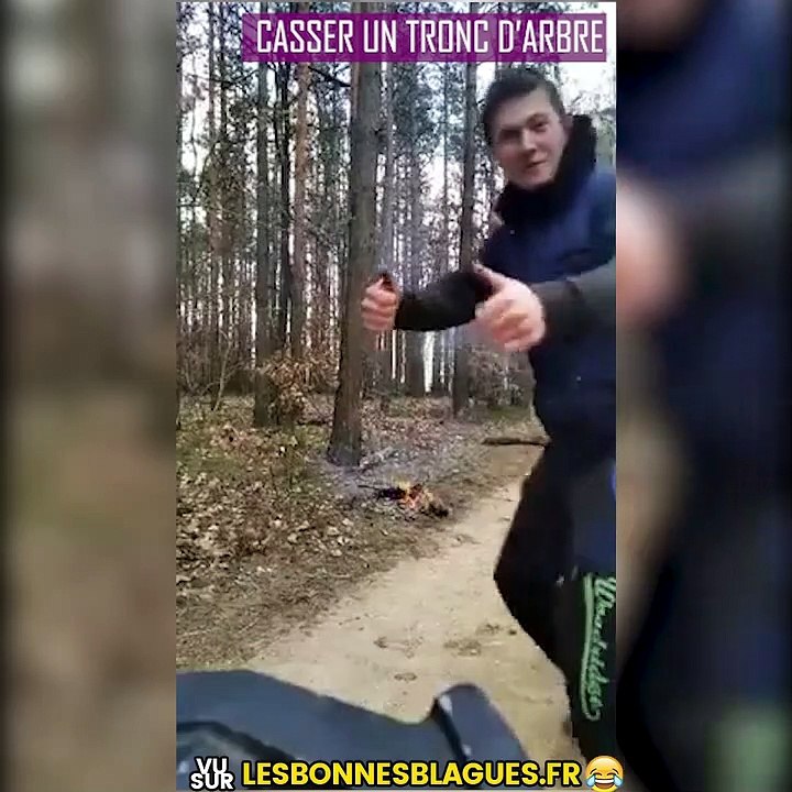 Casser un tronc d'arbre