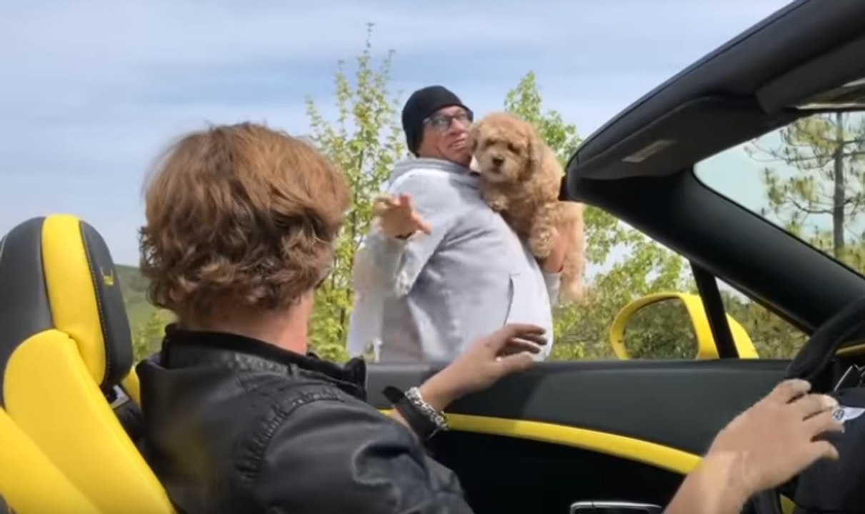Jean-Claude Van Damme : superhero for dogs - JCVD Canine Hero - Vidéo ...