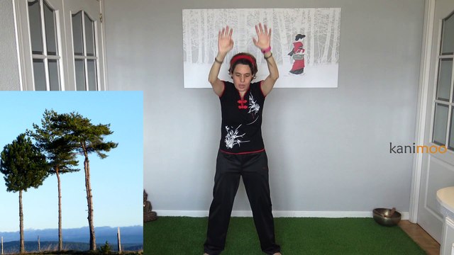 Chi kung para niños fácil en casa / qigong para niños / Tai chi para niños / kanimoo