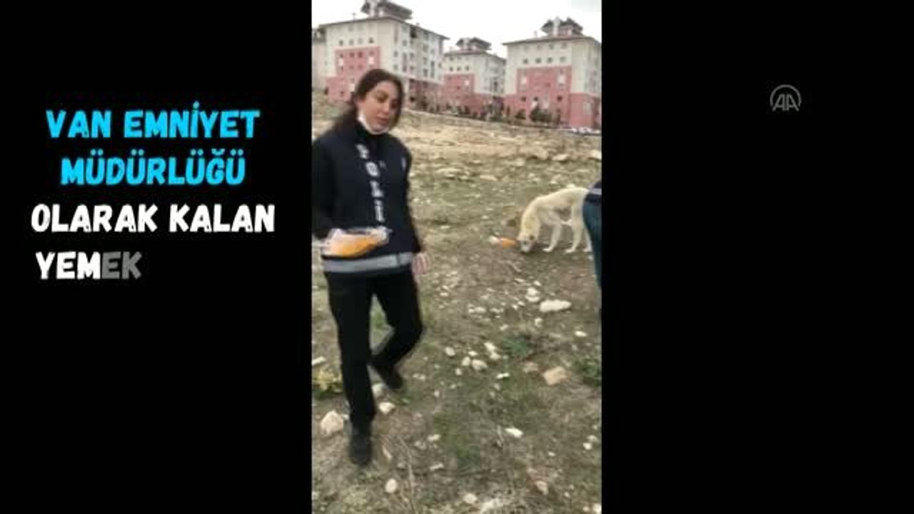 Van polisinden sokak hayvanlarına yem ve mama desteği