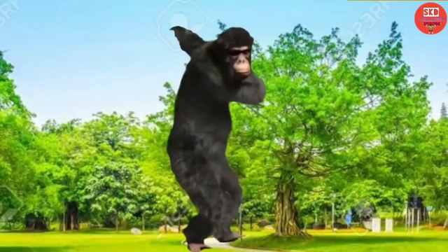 Santali Cartoon dance video || Santali cartoon video || By santali kukmu disom presents