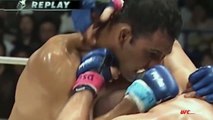 PRIDE FC Free Fight Fedor Emelianenko vs Minotauro Nogueira III (2004)