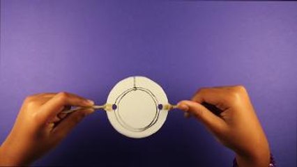 Create an Optical Toy: Thaumatrope | MetKids