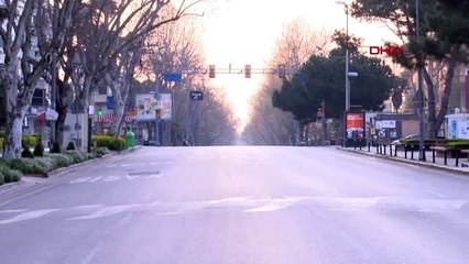 YASAĞA RAĞMEN SOKAĞA ÇIKTI KÖPEKLERİMİ BESLEMEK İÇİN ÇIKTIM