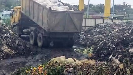 कम्पोस्ट प्लांट भेजी गई एक डंपर भरकर खराब बादाम