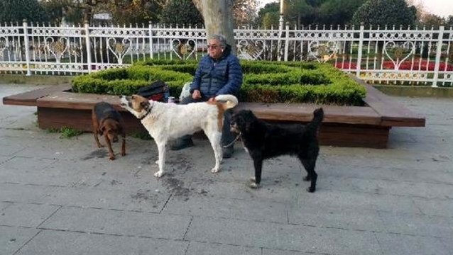 Sokağa çıkma yasağını delen kişi, akla ilk gelen mazeretle kendisini savundu