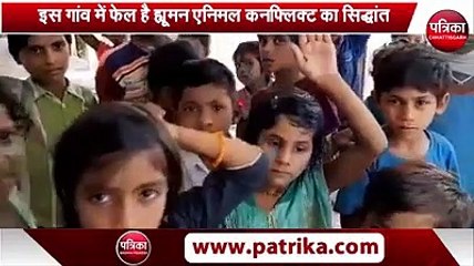 village, where there is no enmity between tigers and humans but friend