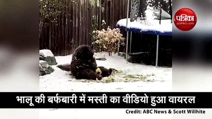 भालू ने बर्फबारी में की जमकर मस्ती, वीडियो हो गया वायरल