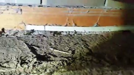 Don't Risk Your Property - Call Us for Termite Inspection Today!