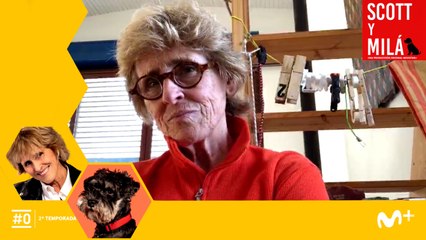 Milá: "Tengo amigos que se han despedido de sus padres por FaceTime"