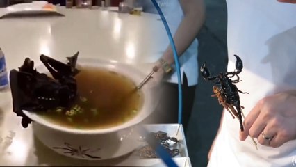 China Live Frog Soup | China, Korea Scariest Food Recipes | Foodies