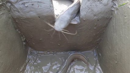 Trap Fishing - Amazing Deep Hole  Fish Trap System
