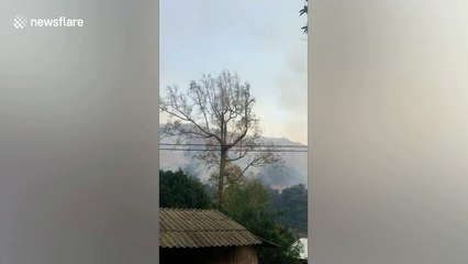 Three dead as forest fires rage in northern Thailand