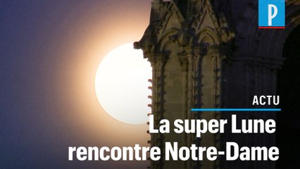 Paris : la plus belle « super Lune » de l'année rayonne sur Notre-Dame