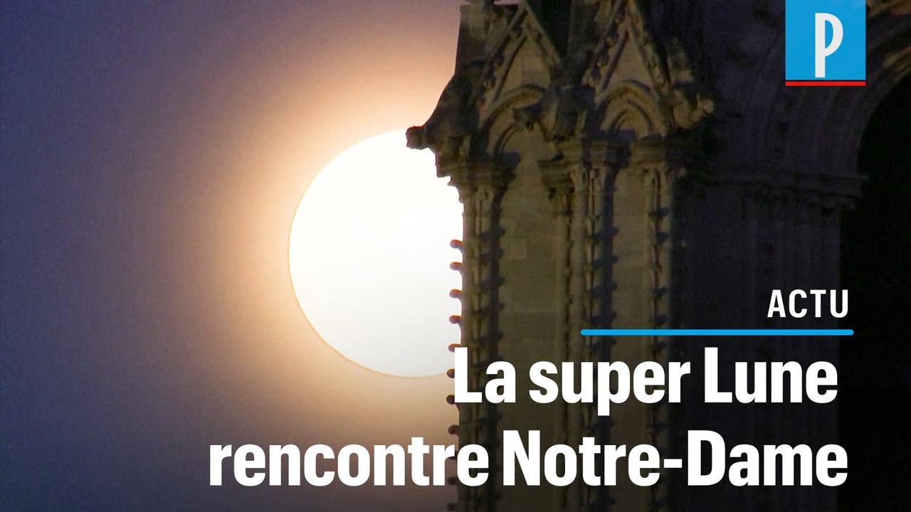 Paris : la plus belle « super Lune » de l'année rayonne sur Notre-Dame