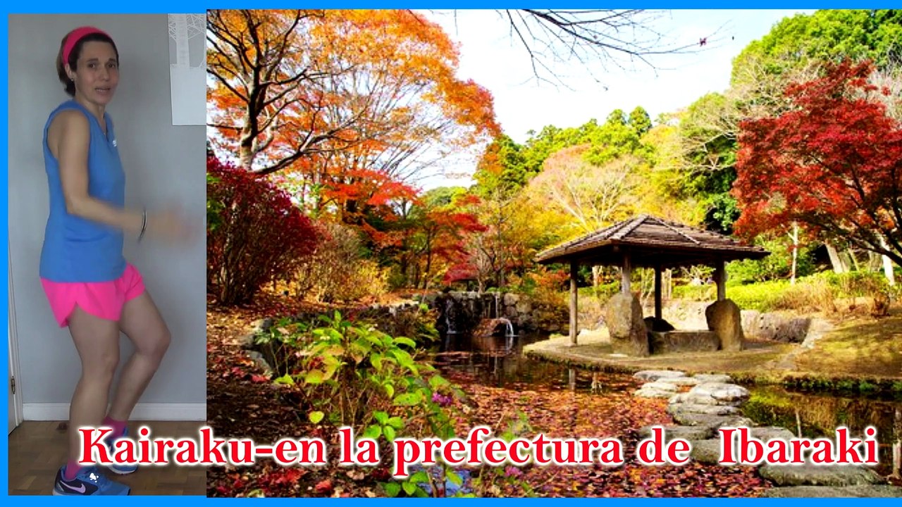 Correr en casa para adelgazar sin material / Correr en el sitio a intervalos 10 minutos / kanimoo