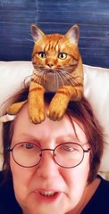 Huguette Dreikaus seule à la maison : tête de chat