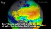 Cool Visual Shows the Shifting Salts of Our Oceans from Space