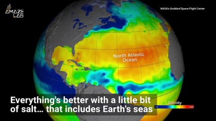 Cool Visual Shows the Shifting Salts of Our Oceans from Space