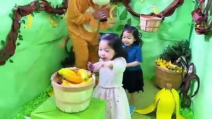 Emma and Kate in Giant Jungle Box Fort Maze with Monkey!!!