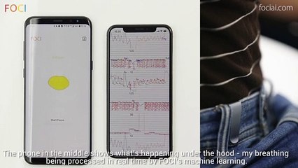 Présentation de Foci