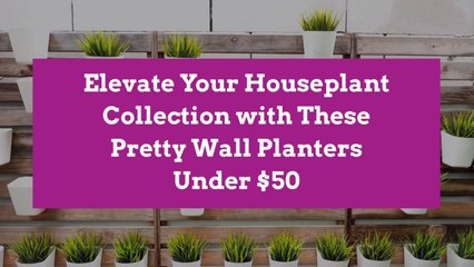 Elevate Your Houseplant Collection with These Pretty Wall Planters Under $50