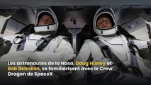 Nasa et SpaceX : la capsule Dragon fera son premier vol habité en mai