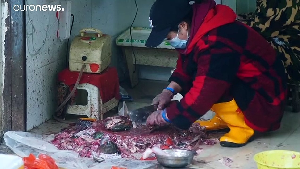 Etwas Alltag in Wuhan: Die Menschen dürfen wieder reisen