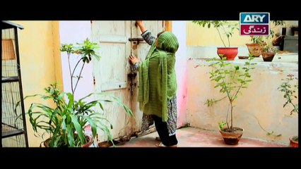 Behnain Aisi Bhi Hoti Hain Episode 85 & 86 - ARY Zindagi Drama