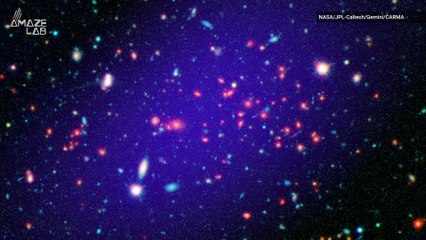 Universe May Not Be Expanding at the Same Rate in All Directions