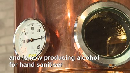 From gin to gel: Belgian distillery battles virus