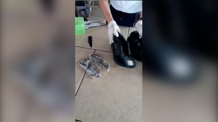 ext-decomiso-droga-080420