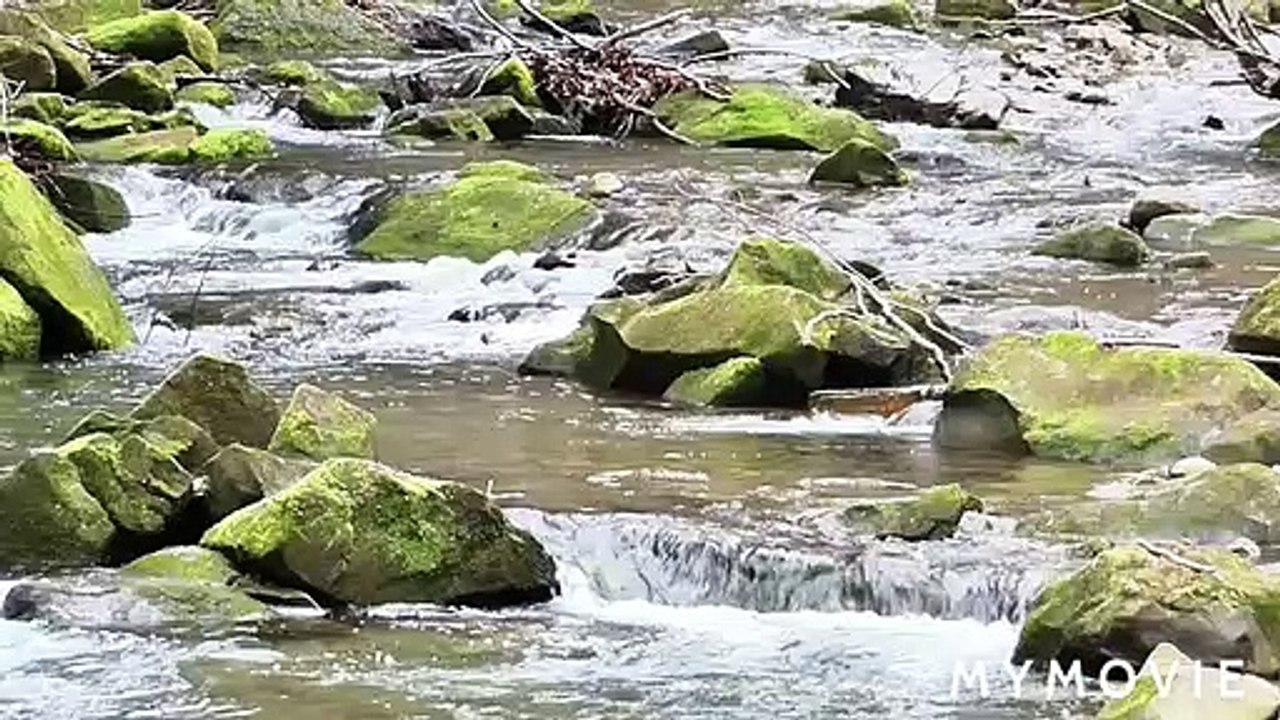 Nature Beauty