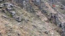 Dağ keçisinin 'drone' la imtihanı